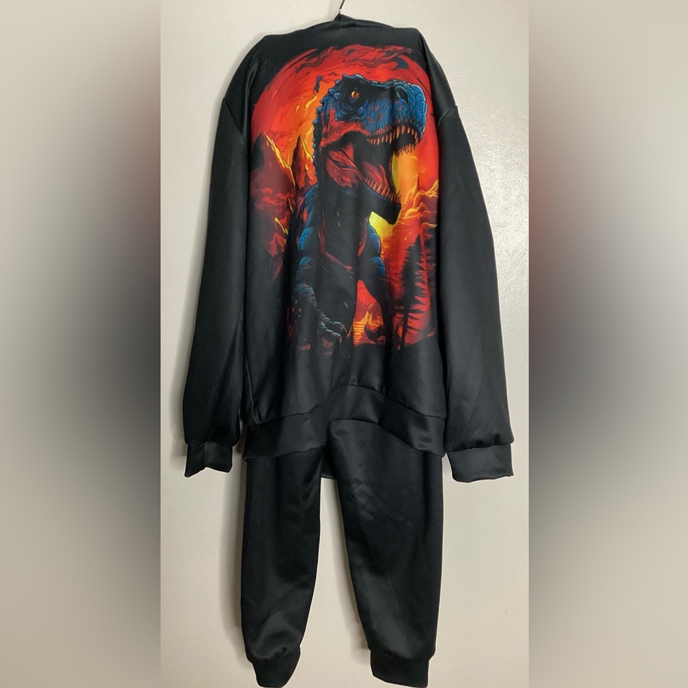 Dinosaur Adventure Kids Matching Hoodie & Sweats Set 11/12 yo